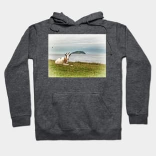 Goat Relaxing on Brean Down, Somerset art. British landscape Hoodie